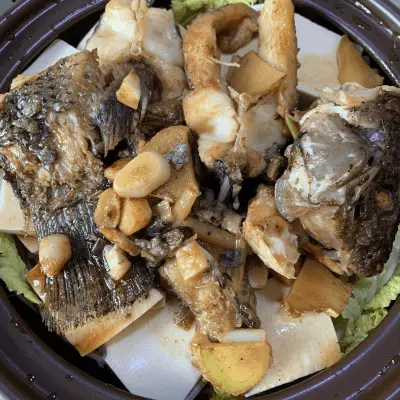 clay pot fish with tofu 5