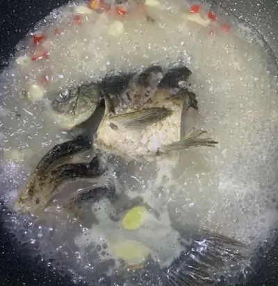 crucian carp tofu soup 4 crucian carp tofu soup 4