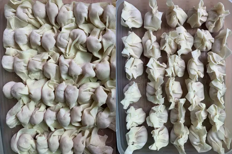 freshly made wontons
