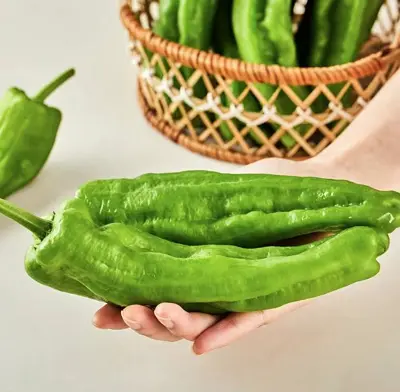 green peppers